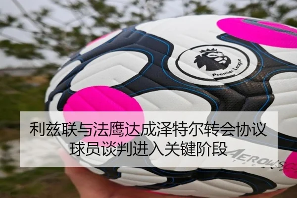 利兹联与法鹰达成泽特尔转会协议 球员谈判进入关键阶段